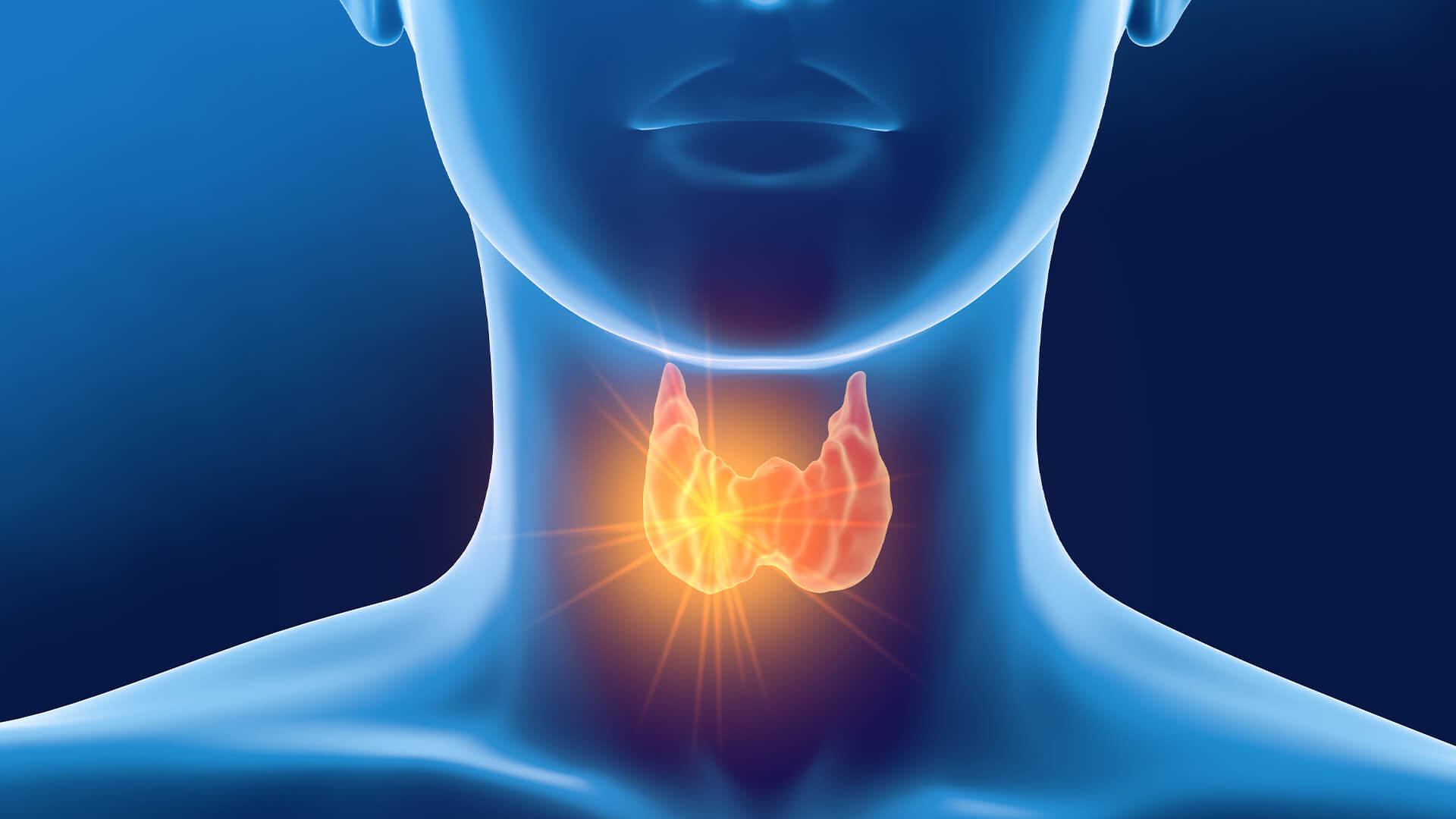 Thyroid function tests – What are they and what do the tests mean?