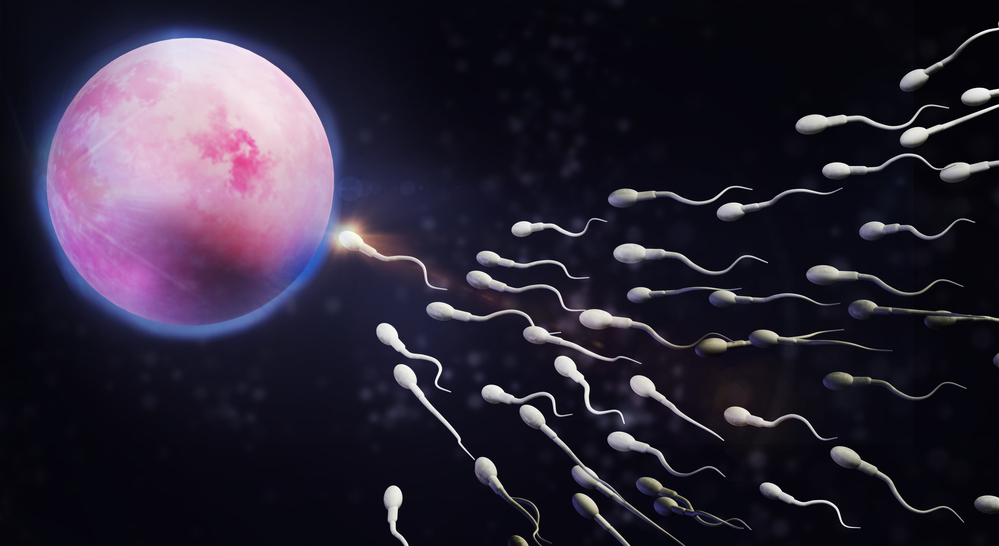 Sperm DNA Fragmentation | Test Details, Symptoms and Causes